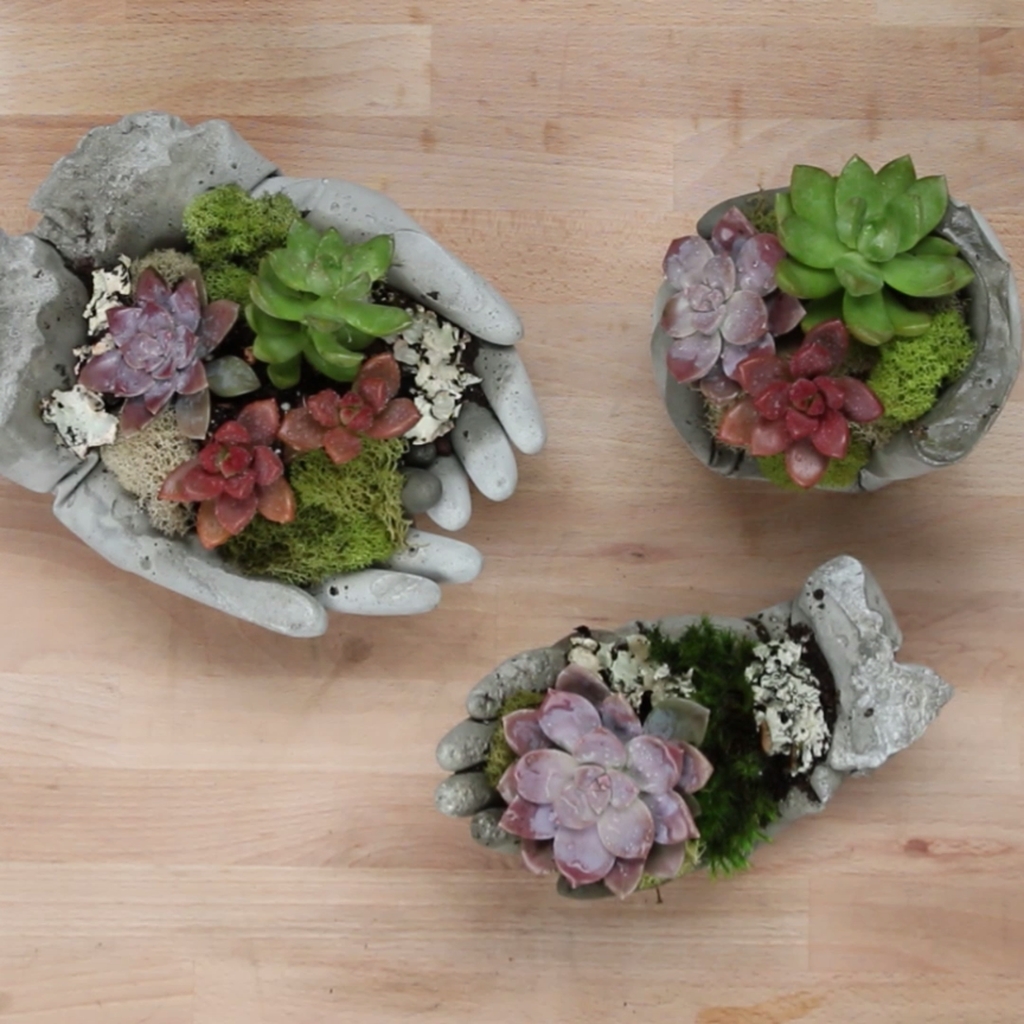 Awesome Succulent Garden Ideas In Your Backyard 32