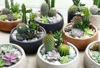Awesome Succulent Garden Ideas In Your Backyard 38