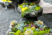 Awesome Succulent Garden Ideas In Your Backyard 40