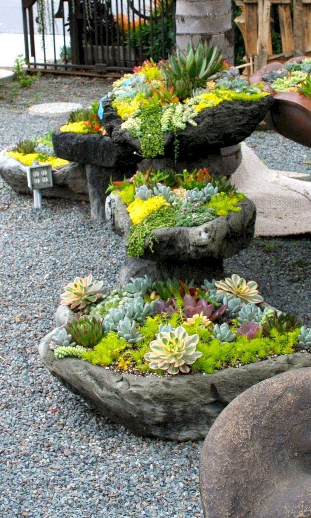 Awesome Succulent Garden Ideas In Your Backyard 40