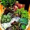 Awesome Succulent Garden Ideas In Your Backyard 41