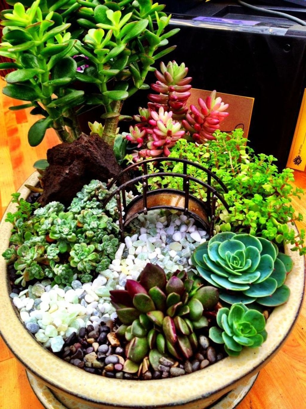 Awesome Succulent Garden Ideas In Your Backyard 41