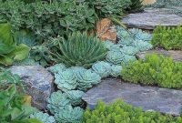 Awesome Succulent Garden Ideas In Your Backyard 44
