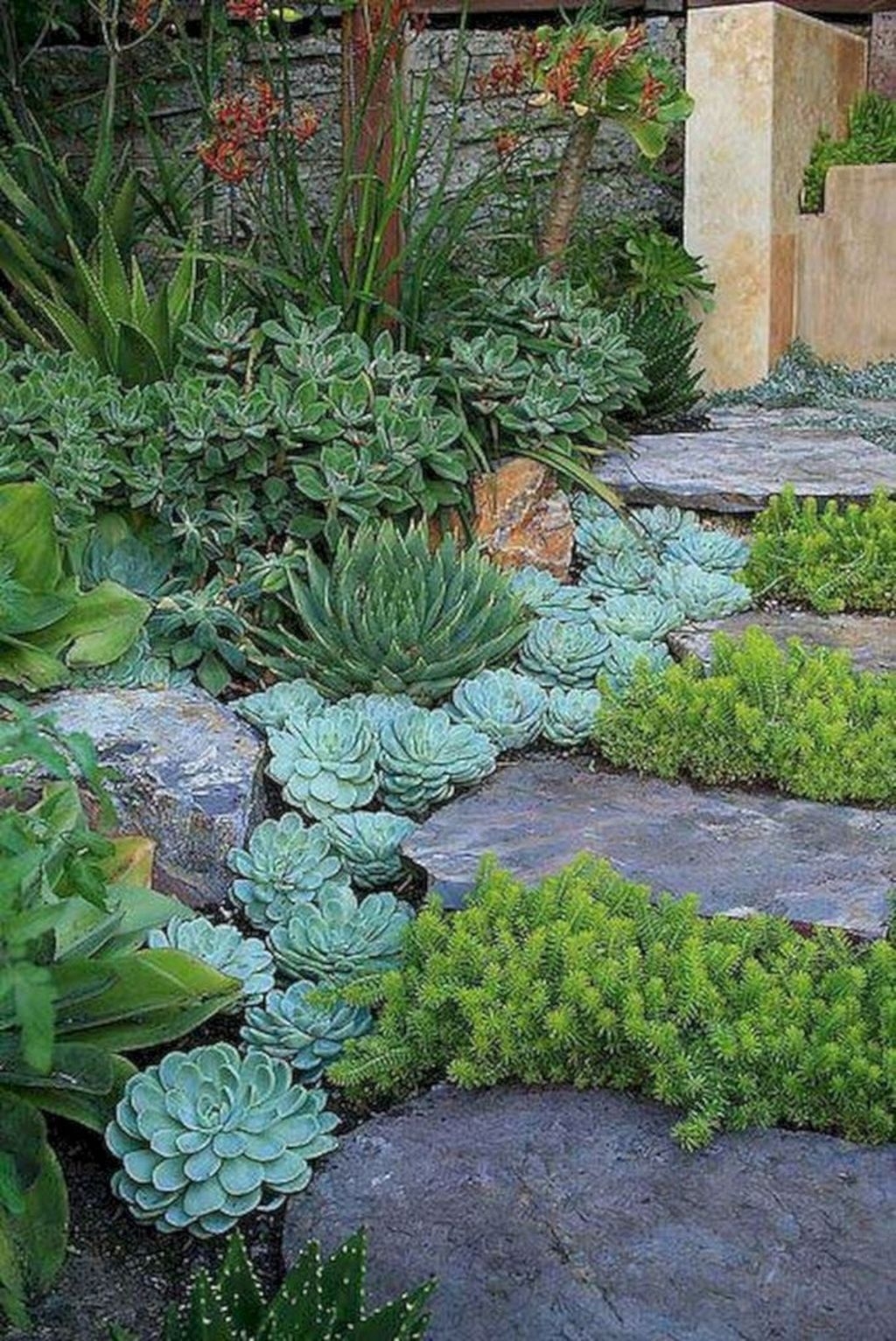 Awesome Succulent Garden Ideas In Your Backyard 44