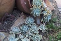 Awesome Succulent Garden Ideas In Your Backyard 45