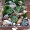 Awesome Succulent Garden Ideas In Your Backyard 46