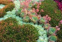 Awesome Succulent Garden Ideas In Your Backyard 48
