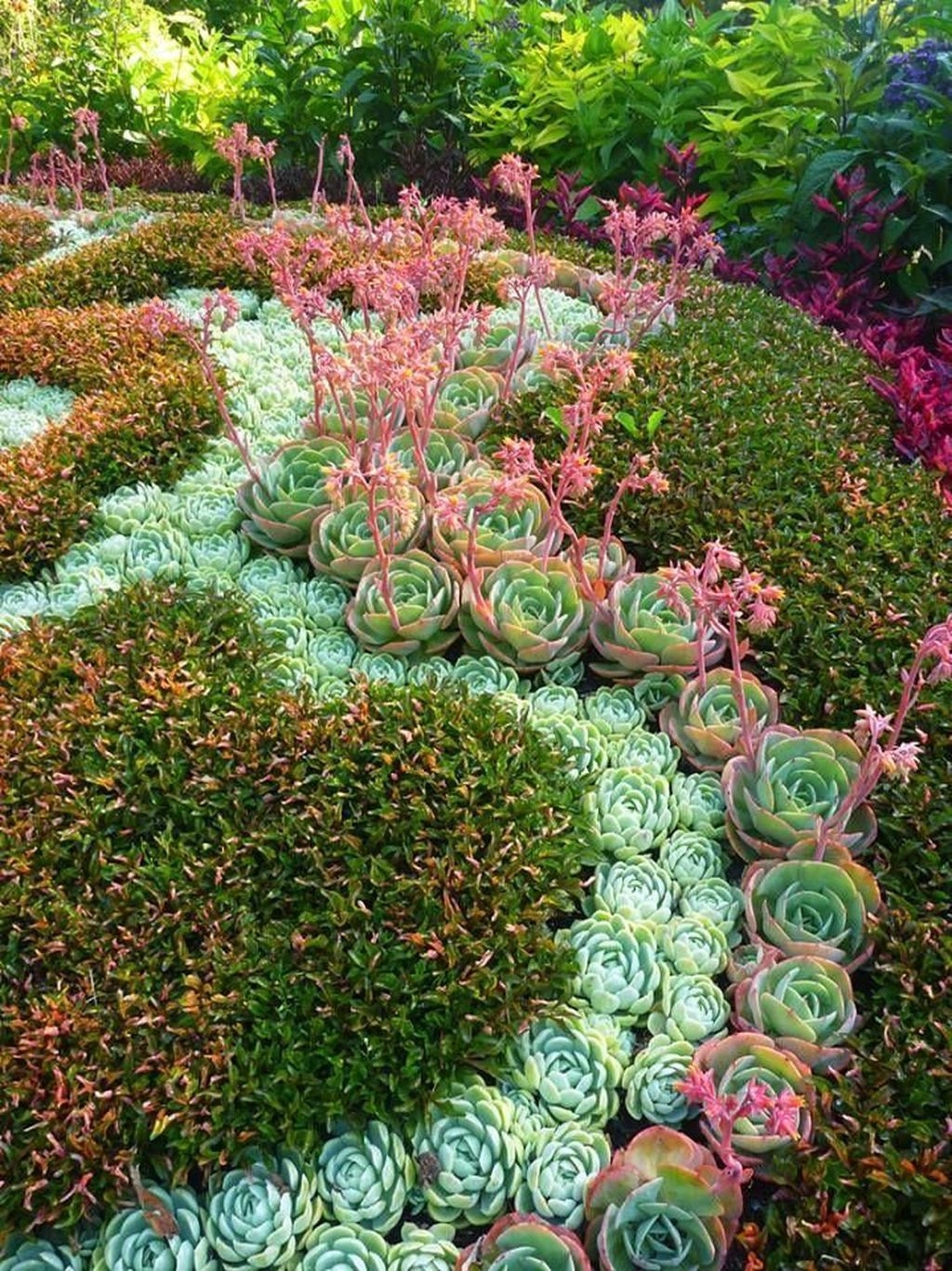Awesome Succulent Garden Ideas In Your Backyard 48