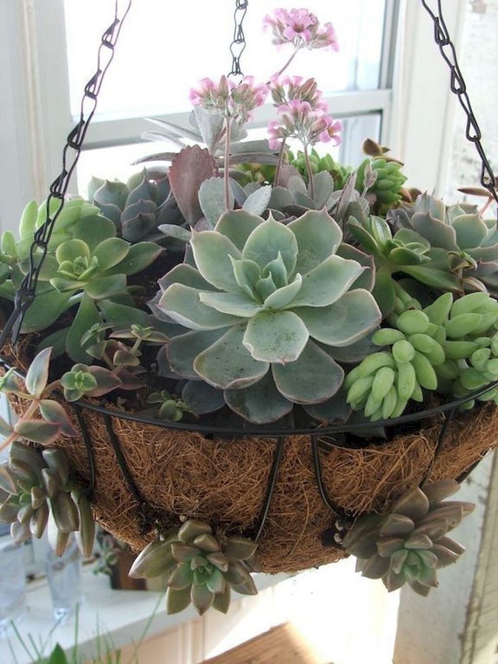 Awesome Succulent Garden Ideas In Your Backyard 53