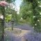 Fascinating Cottage Garden Ideas To Create Cozy Private Spot 10