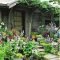 Fascinating Cottage Garden Ideas To Create Cozy Private Spot 52