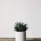 Marvelous Small Planters Ideas To Maximize Your Interior Design 16