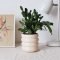 Marvelous Small Planters Ideas To Maximize Your Interior Design 28