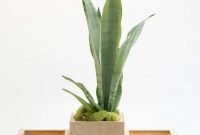 Marvelous Small Planters Ideas To Maximize Your Interior Design 34