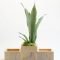 Marvelous Small Planters Ideas To Maximize Your Interior Design 34