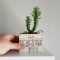 Marvelous Small Planters Ideas To Maximize Your Interior Design 36