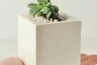 Marvelous Small Planters Ideas To Maximize Your Interior Design 39