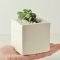 Marvelous Small Planters Ideas To Maximize Your Interior Design 39