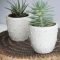 Marvelous Small Planters Ideas To Maximize Your Interior Design 43