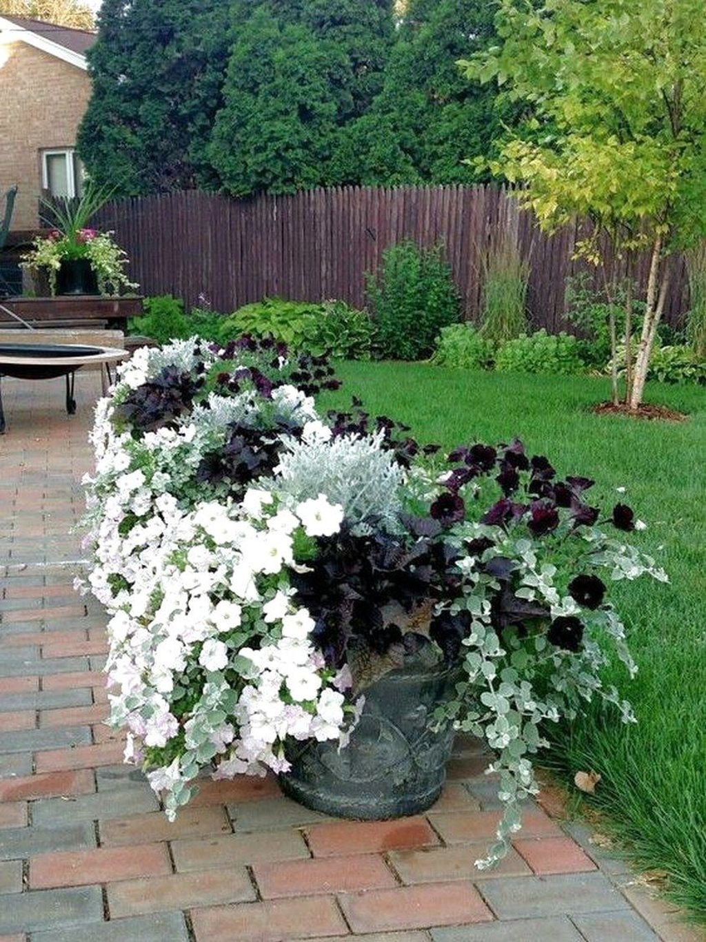 Stunning Small Flower Gardens And Plants Ideas For Your Front Yard 10