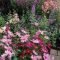 Stunning Small Flower Gardens And Plants Ideas For Your Front Yard 11