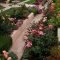 Stunning Small Flower Gardens And Plants Ideas For Your Front Yard 34