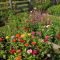 Stunning Small Flower Gardens And Plants Ideas For Your Front Yard 41