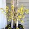 Astonishing Spring Decoration Ideas For Your Front Porch 11