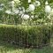 Awesome Farmhouse Garden Fence For Winter To Spring 01