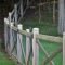 Awesome Farmhouse Garden Fence For Winter To Spring 09