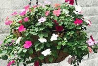 Lovely Hanging Flower To Beautify Your Small Garden In Summer 01