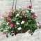 Lovely Hanging Flower To Beautify Your Small Garden In Summer 01