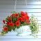 Lovely Hanging Flower To Beautify Your Small Garden In Summer 02