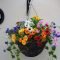Lovely Hanging Flower To Beautify Your Small Garden In Summer 08
