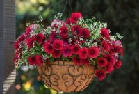 Lovely Hanging Flower To Beautify Your Small Garden In Summer 15