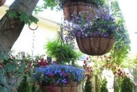 Lovely Hanging Flower To Beautify Your Small Garden In Summer 16