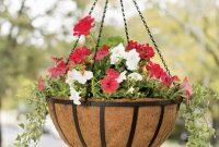 Lovely Hanging Flower To Beautify Your Small Garden In Summer 17