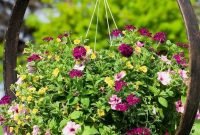 Lovely Hanging Flower To Beautify Your Small Garden In Summer 18