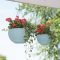 Lovely Hanging Flower To Beautify Your Small Garden In Summer 19