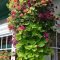 Lovely Hanging Flower To Beautify Your Small Garden In Summer 21