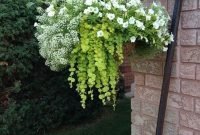 Lovely Hanging Flower To Beautify Your Small Garden In Summer 23