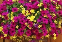Lovely Hanging Flower To Beautify Your Small Garden In Summer 29