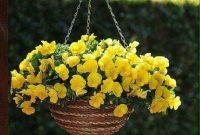 Lovely Hanging Flower To Beautify Your Small Garden In Summer 30