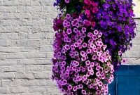 Lovely Hanging Flower To Beautify Your Small Garden In Summer 35