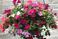 Lovely Hanging Flower To Beautify Your Small Garden In Summer 40