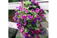 Lovely Hanging Flower To Beautify Your Small Garden In Summer 42