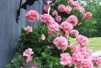 Lovely Hanging Flower To Beautify Your Small Garden In Summer 47