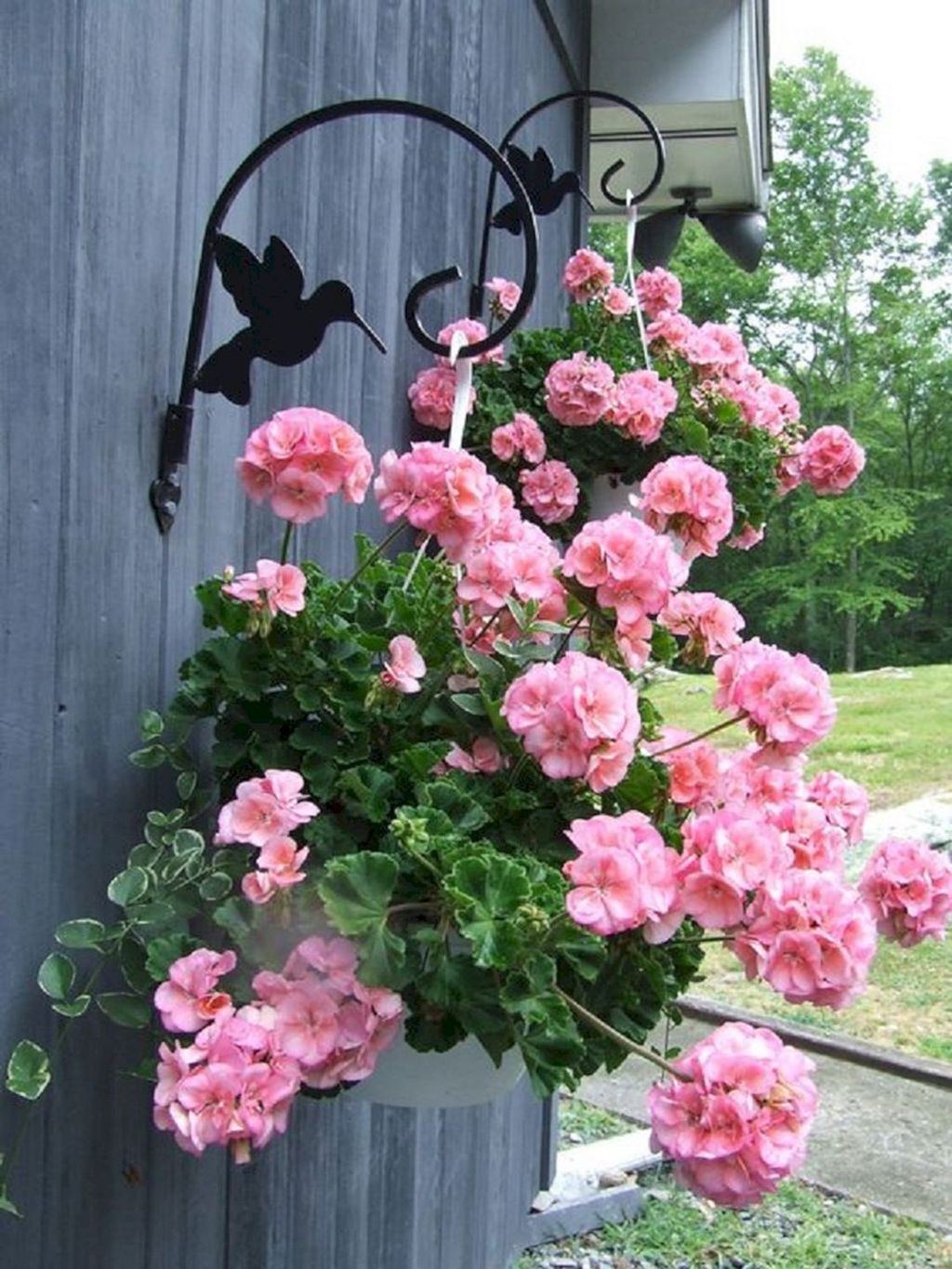 Lovely Hanging Flower To Beautify Your Small Garden In Summer 47