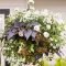 Lovely Hanging Flower To Beautify Your Small Garden In Summer 53