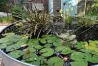 Adorable Fish Ponds Inspirations For Your Home 04
